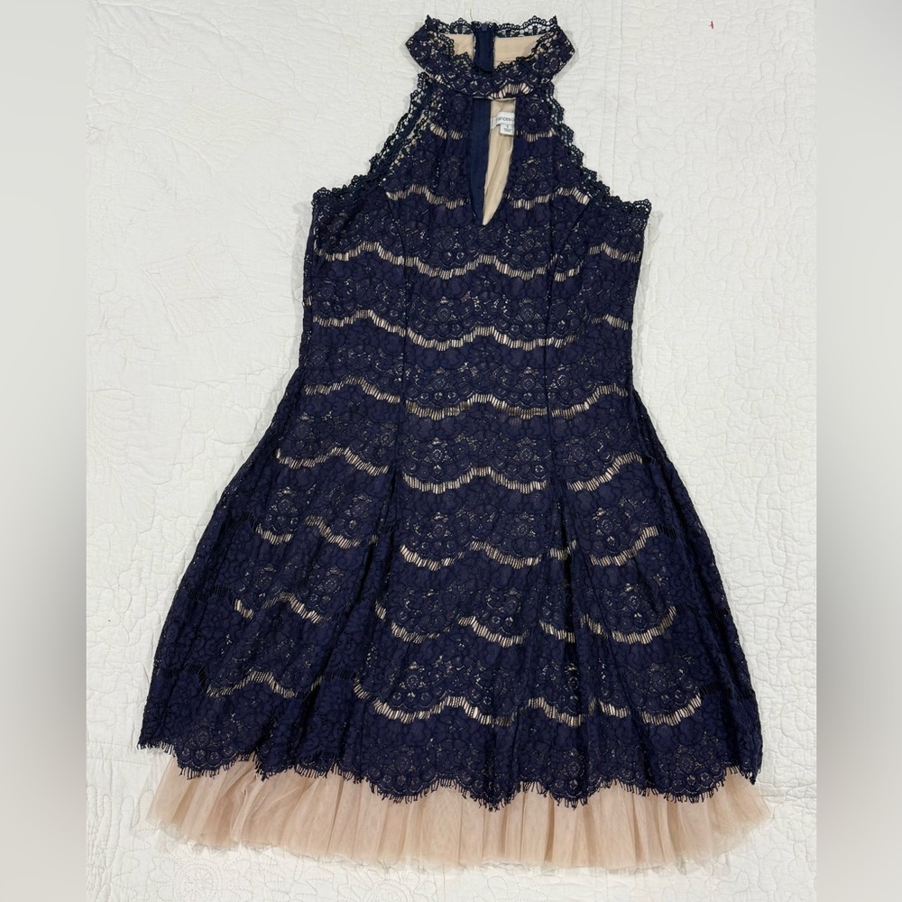 Francesca's Womens Navy Lace Dress with Nude Lining Size S